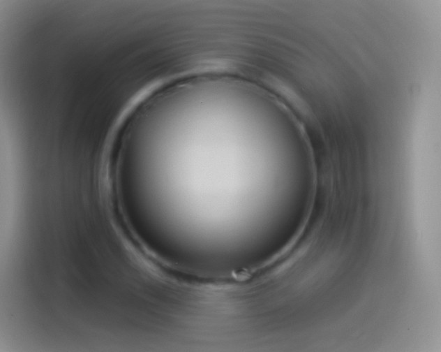 X0000114121118200910131357