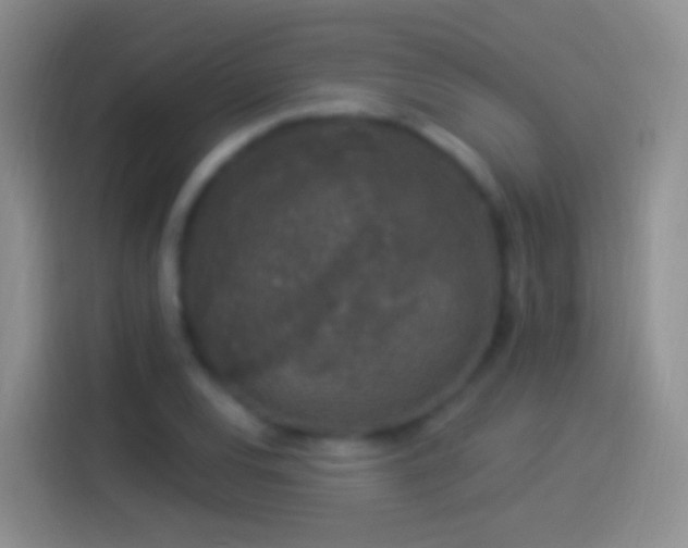 X0000114121120200910131357