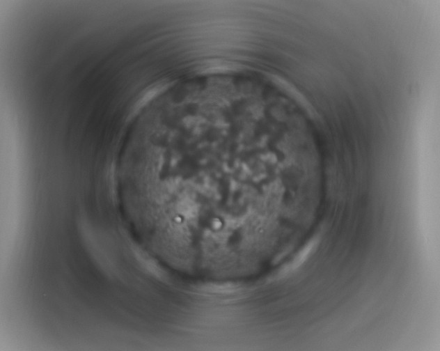 X0000114121121200910131358