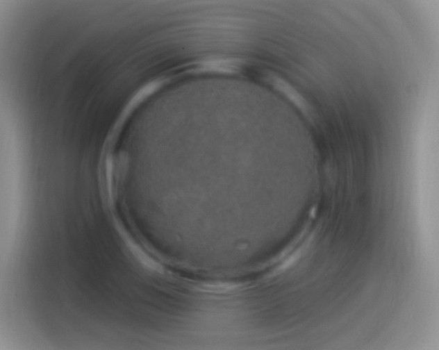 X0000114121123200910131358