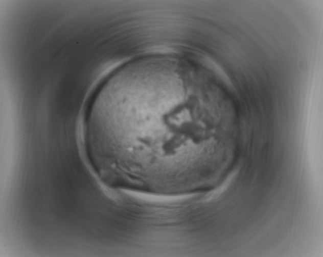 X0000114121125200910131358