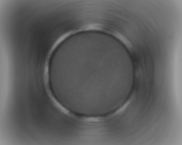 X0000114121126200910131358