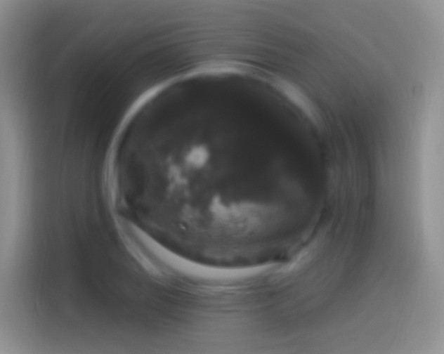 X0000114121127200910131358