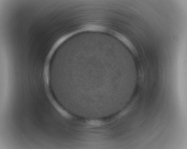 X0000114121128200910131358