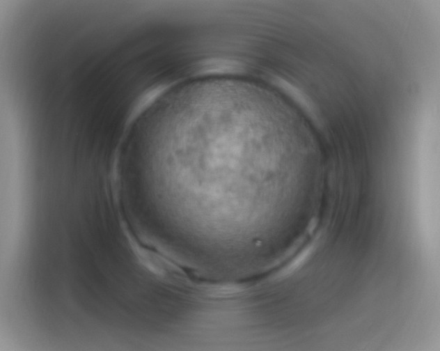 X0000114121129200910131358