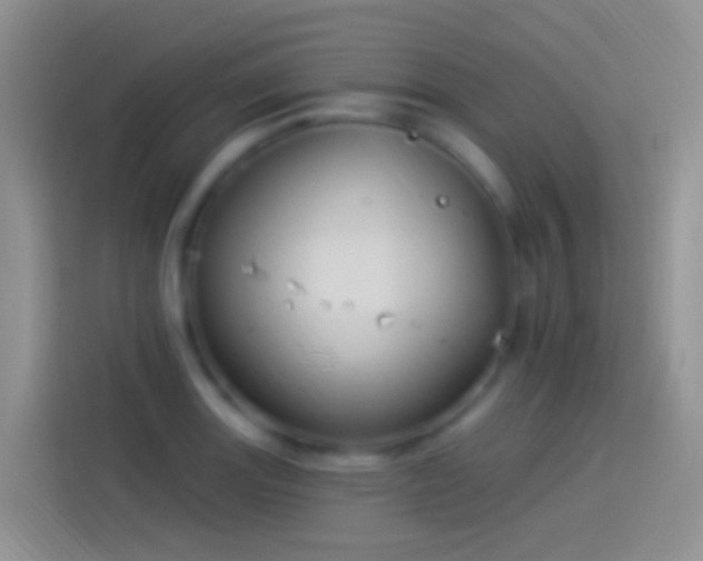 X0000114121131200910131358