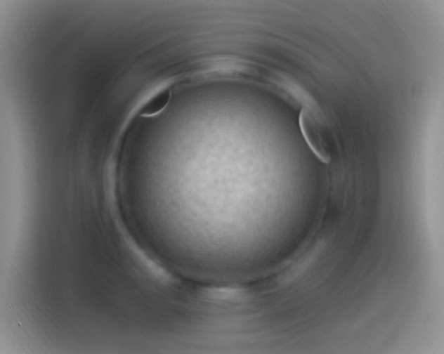 X0000114121134200910131358