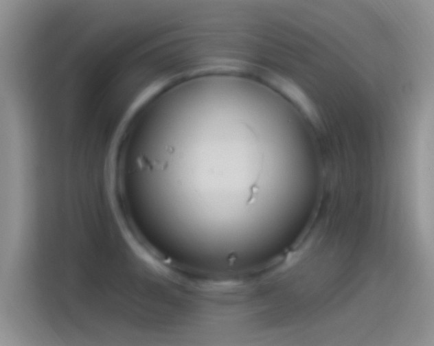 X0000114121135200910131358