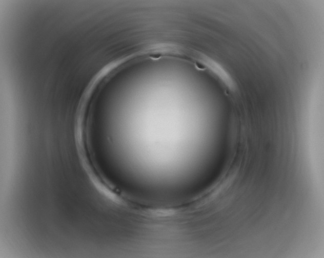 X0000114121136200910131358