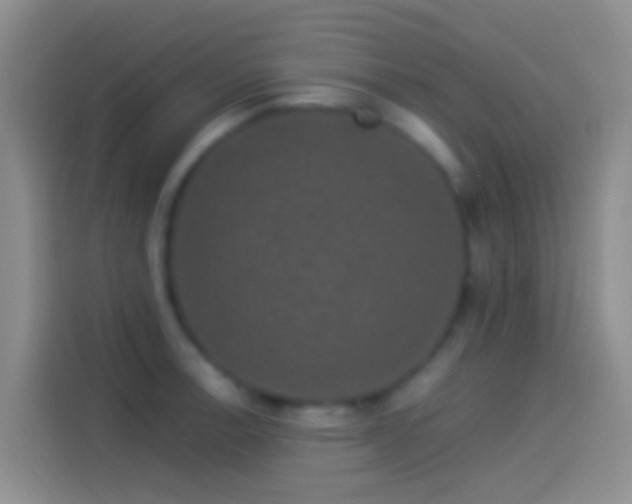 X0000114121138200910131358