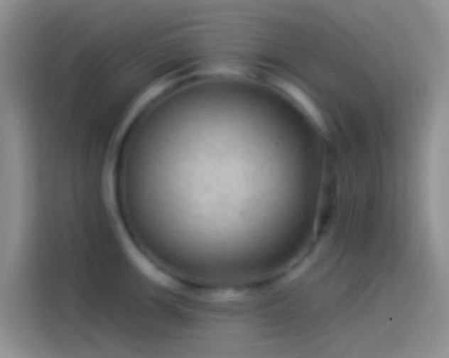 X0000114121139200910131358