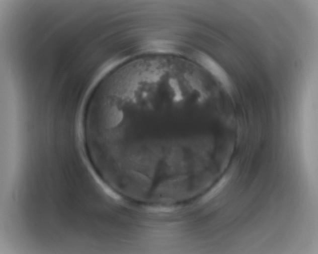 X0000114121141200910131358