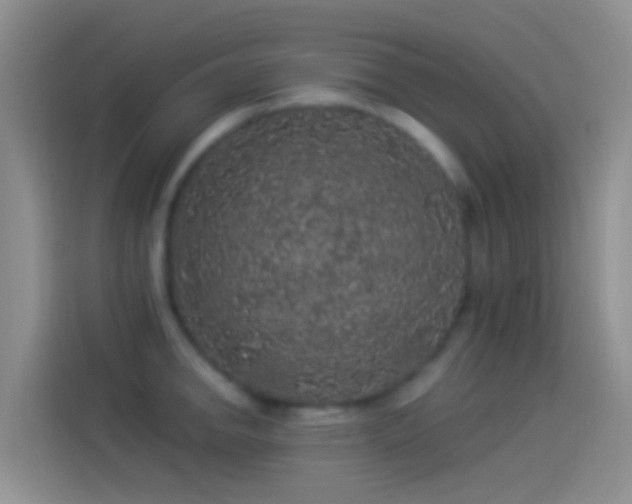 X0000114121142200910131358