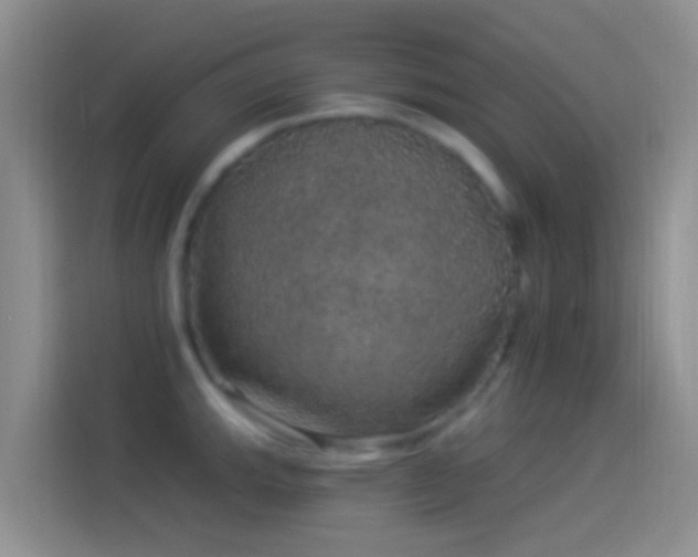 X0000114121143200910131358