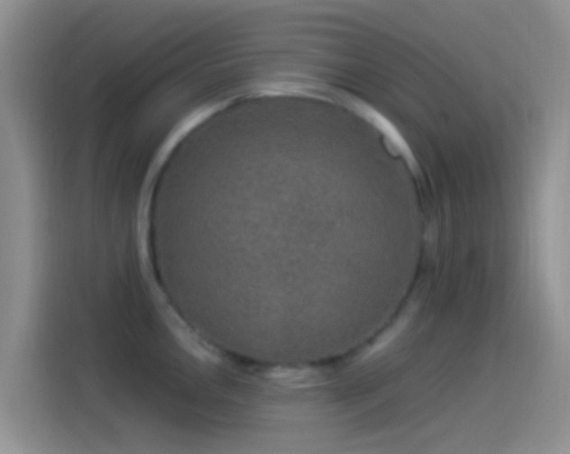 X0000114121146200910131358