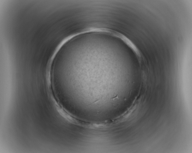 X0000114121148200910131358