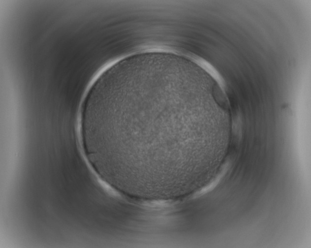 X0000114121149200910131358