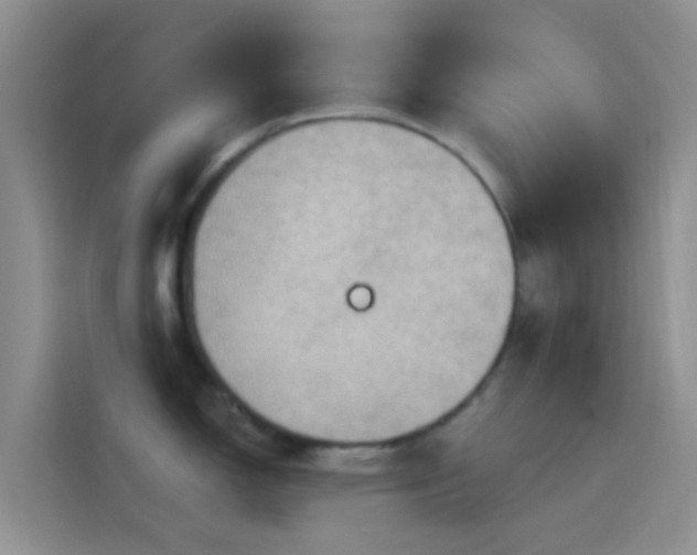 X0000114121150200910131358