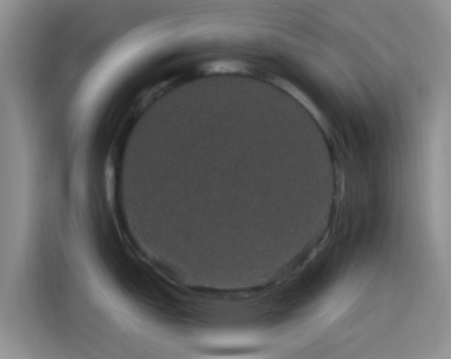 X0000114121151200910131358