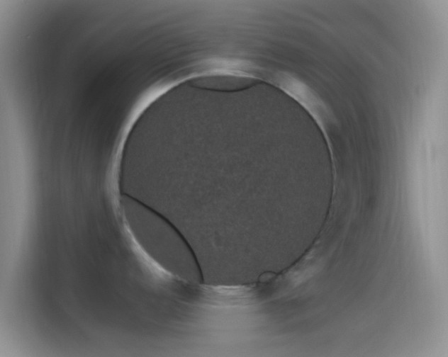 X0000114121152200910131358