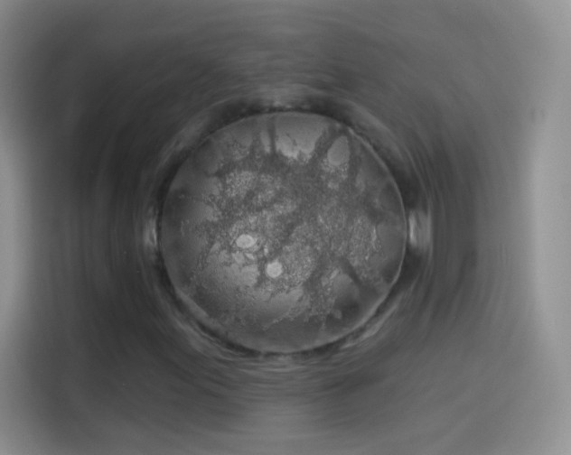 X0000114121155200910131357