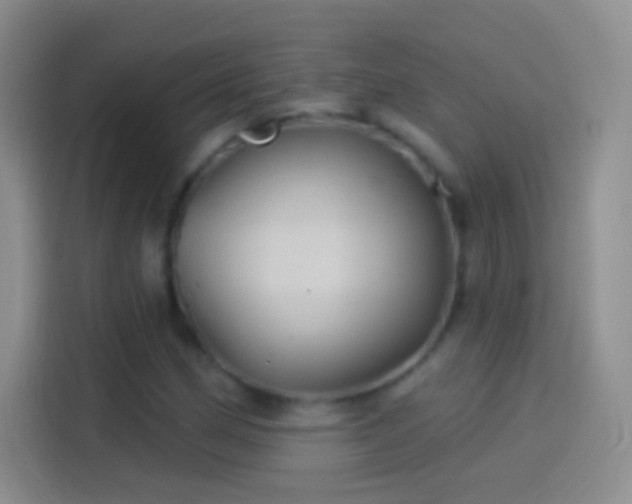 X0000114121162200910131357