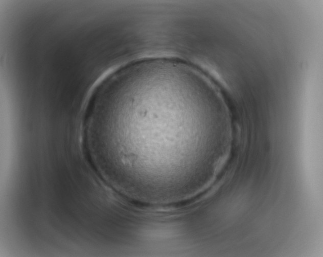 X0000114121165200910131357