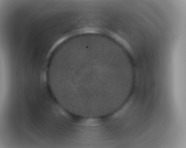 X0000114121166200910131357