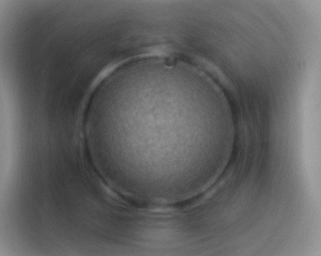 X0000114121168200910131357