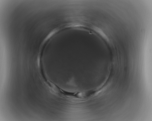 X0000114121173200910131357