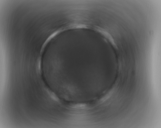 X0000114121174200910131357