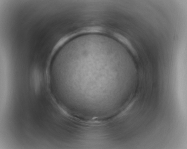 X0000114121176200910131357