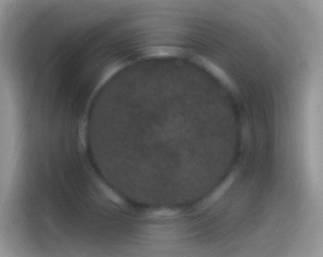 X0000114121178200910131357