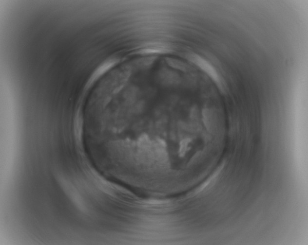 X0000114121179200910131357