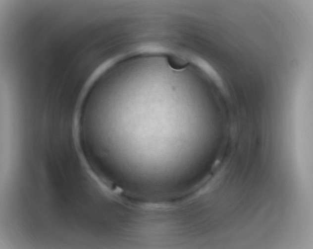 X0000114121183200910131357