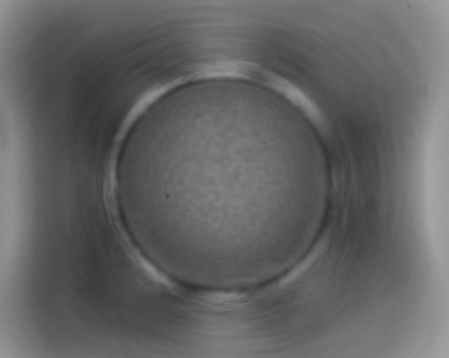 X0000114121184200910131357