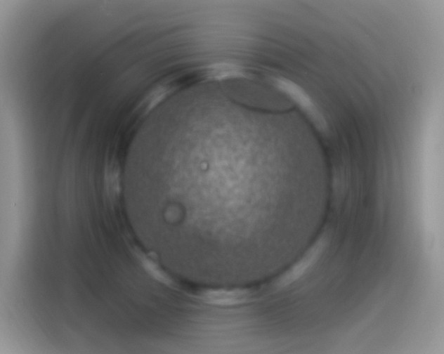 X0000114121185200910131357