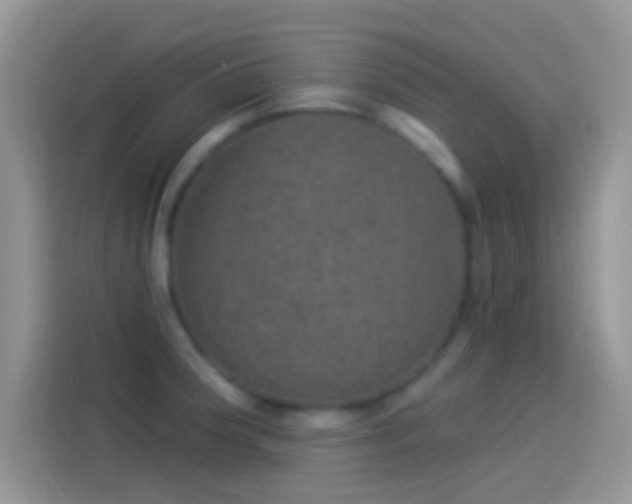 X0000114121188200910131357