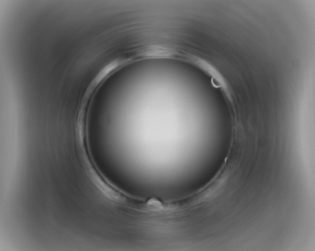 X0000114121195200910131357