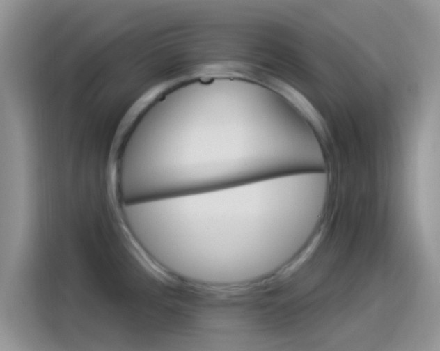 X0000114121196200910131357