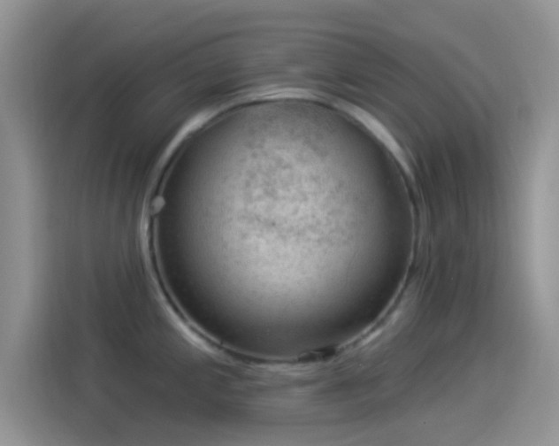 X0000114121197200910131357