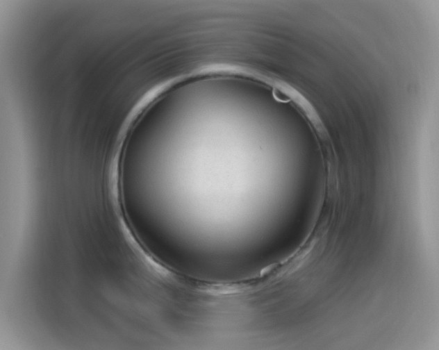 X0000114121199200910131357