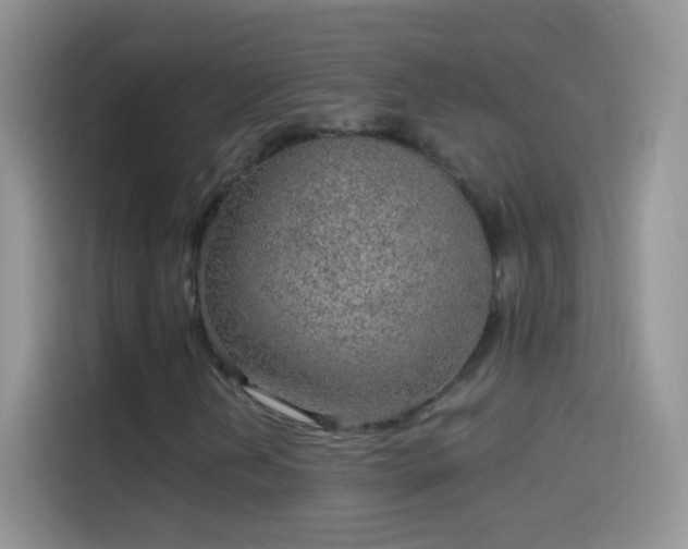 X0000114121202200910131356