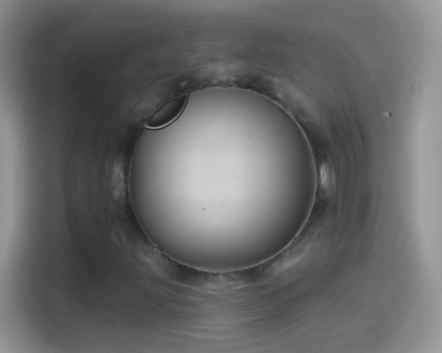 X0000114121203200910131356