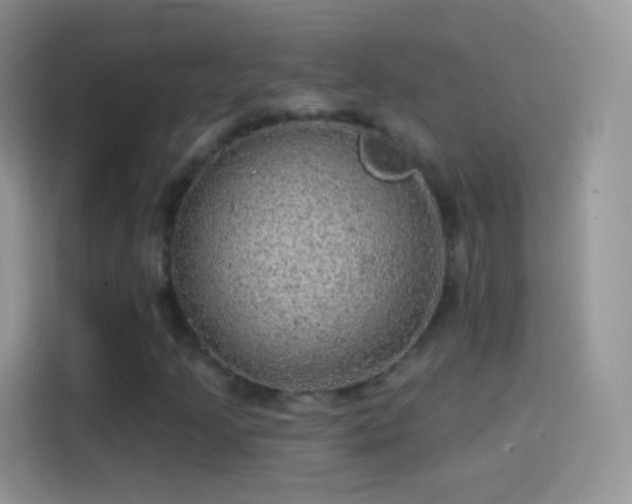 X0000114121205200910131356