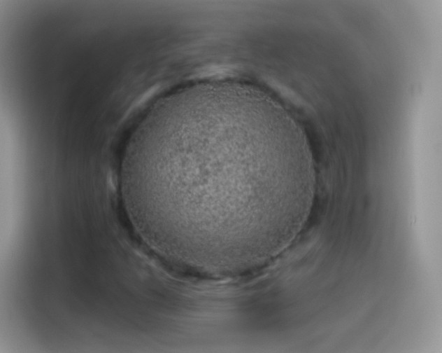 X0000114121206200910131356