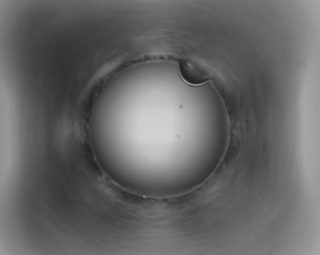 X0000114121207200910131356