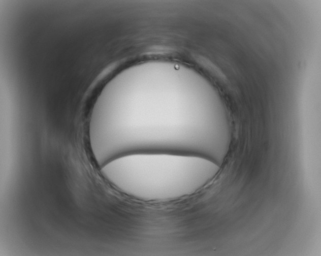 X0000114121208200910131356