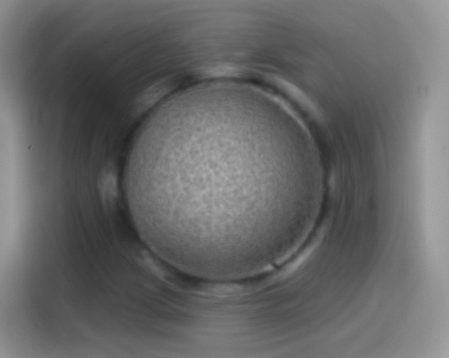 X0000114121209200910131356