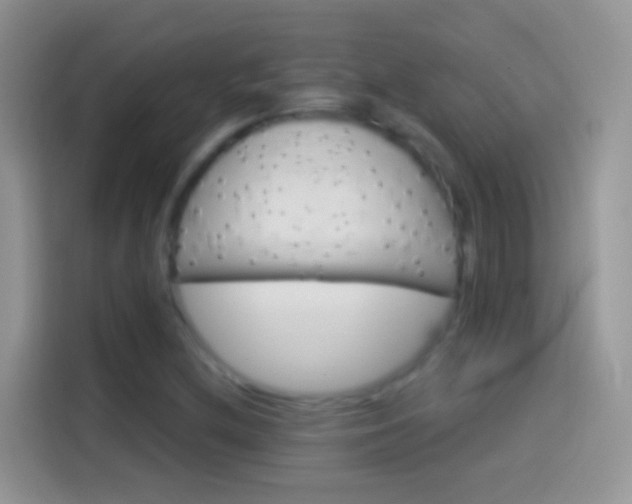 X0000114121212200910131356